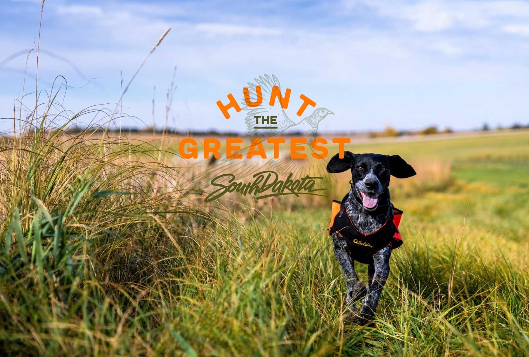 A black dog runs toward the camera in a field beside the words HUNT THE GREATEST SOUTH DAKOTA