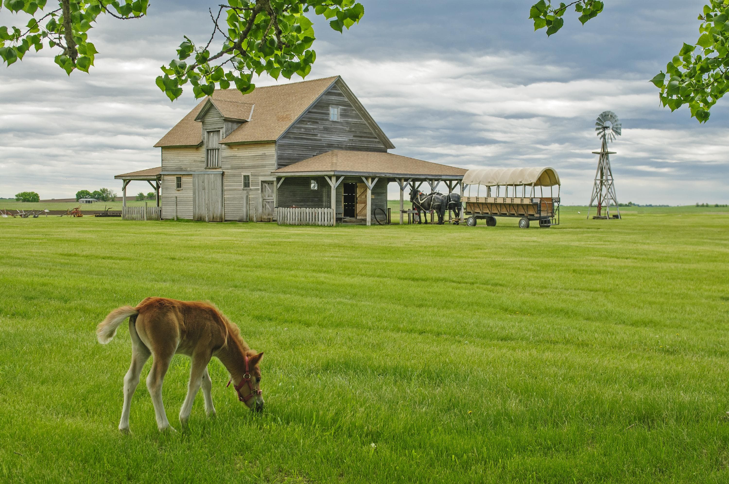 Ingalls Homestead