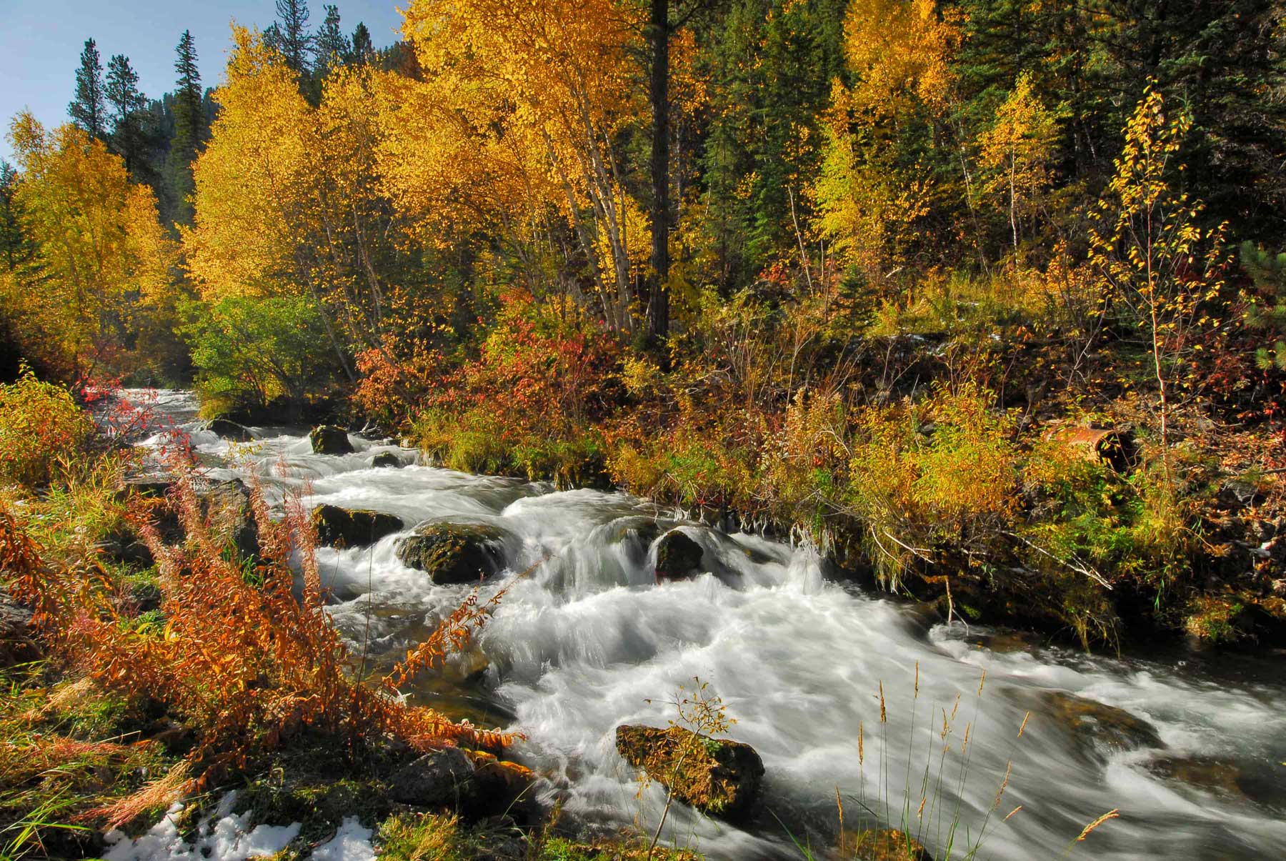 Spearfish Canyon in the fall