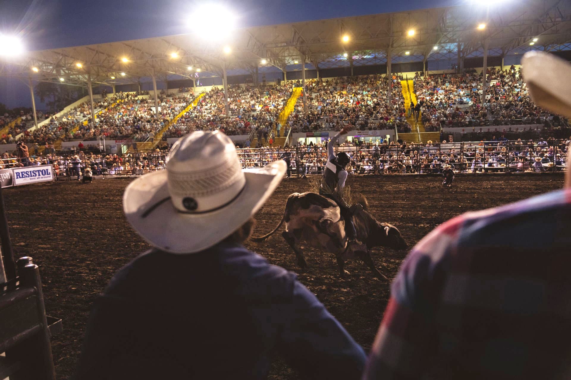 Spectators in packed stands watch a rodeo cowboy perform at the South Dakota State Fair in Huron, South Dakota.