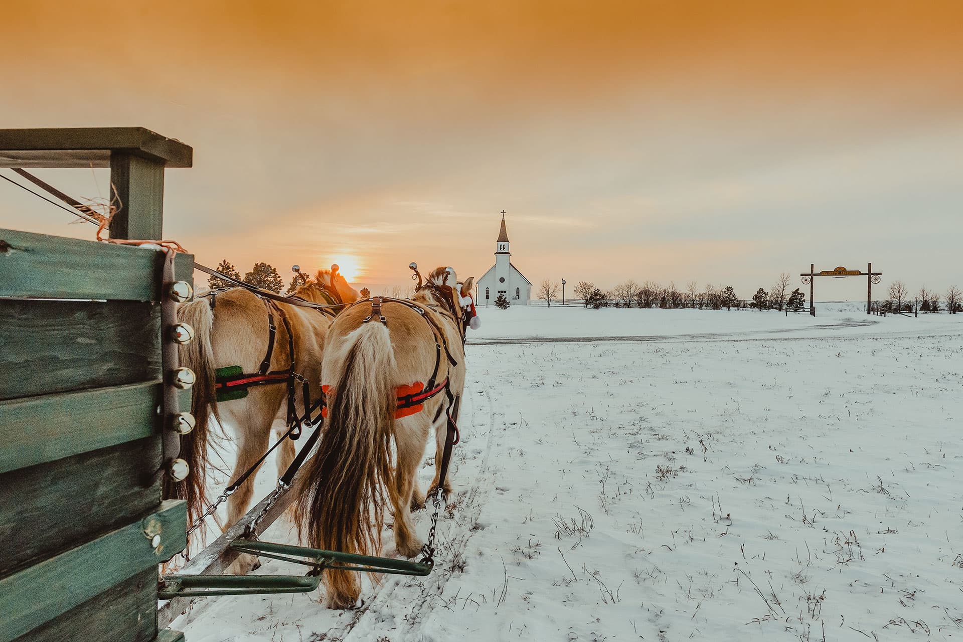 View from behind of two tan horses pulling a sleigh, heading toward a white chapel across a snowy landscape at sunset at Joy Ranch in South Dakota.