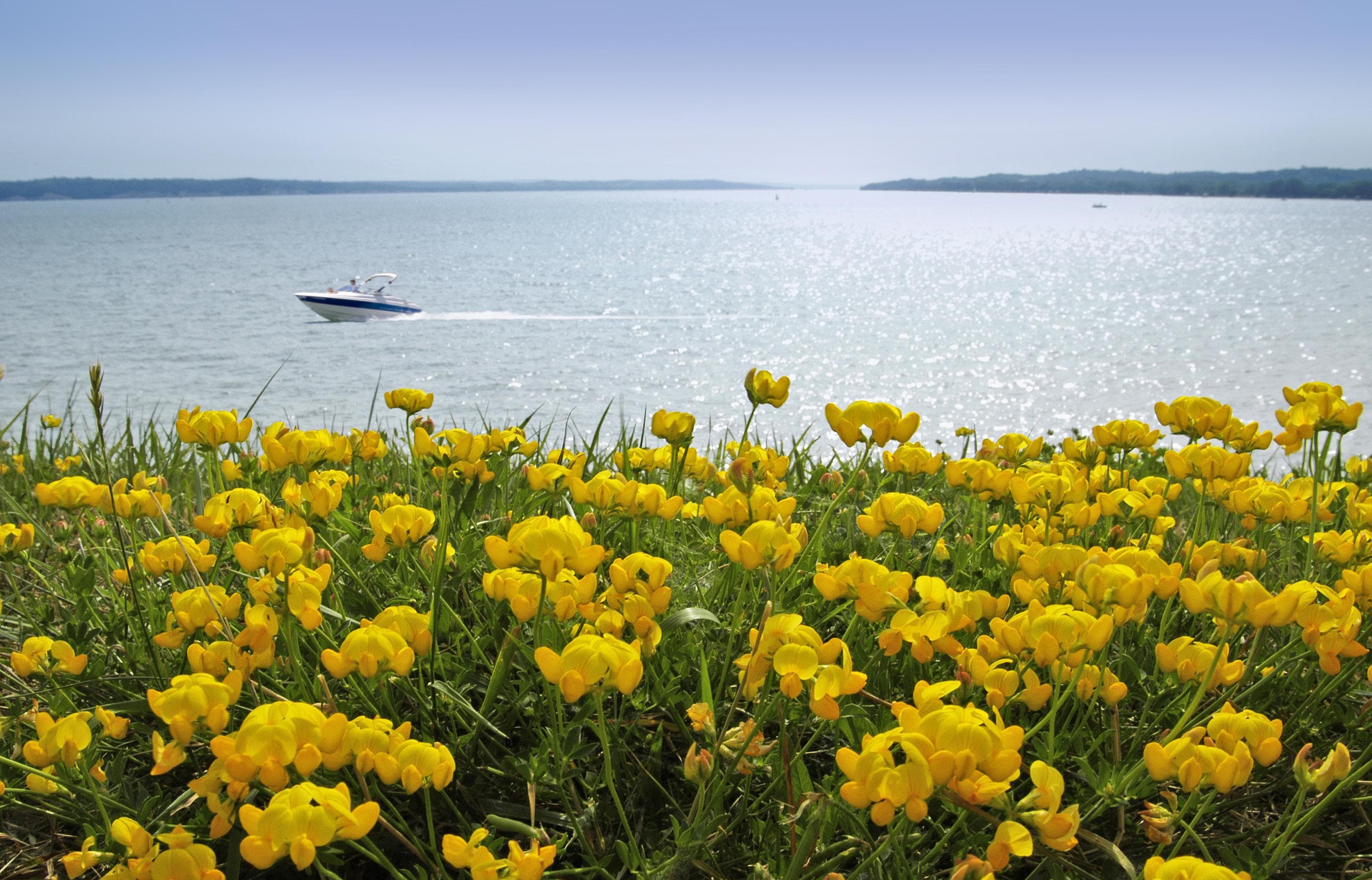 Lewis & Clark Recreation Area, Yankton