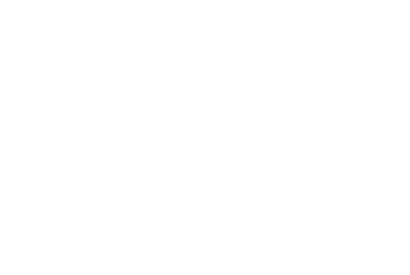 Custer Icon