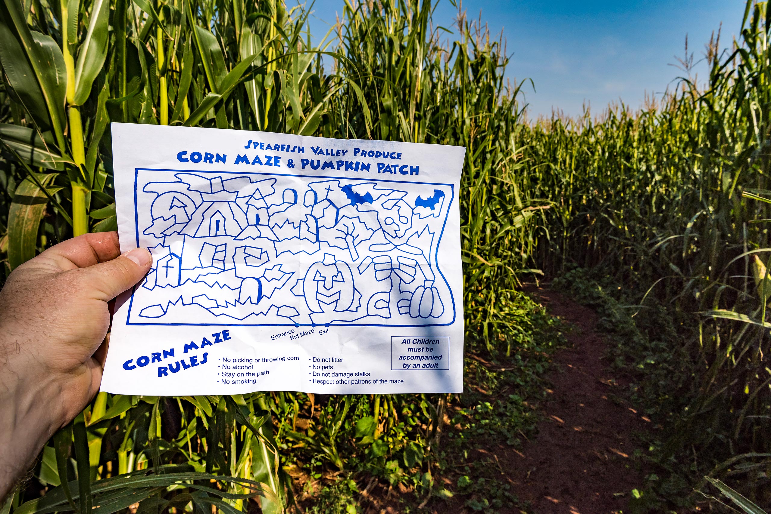 Corn Mazes in South Dakota Travel South Dakota