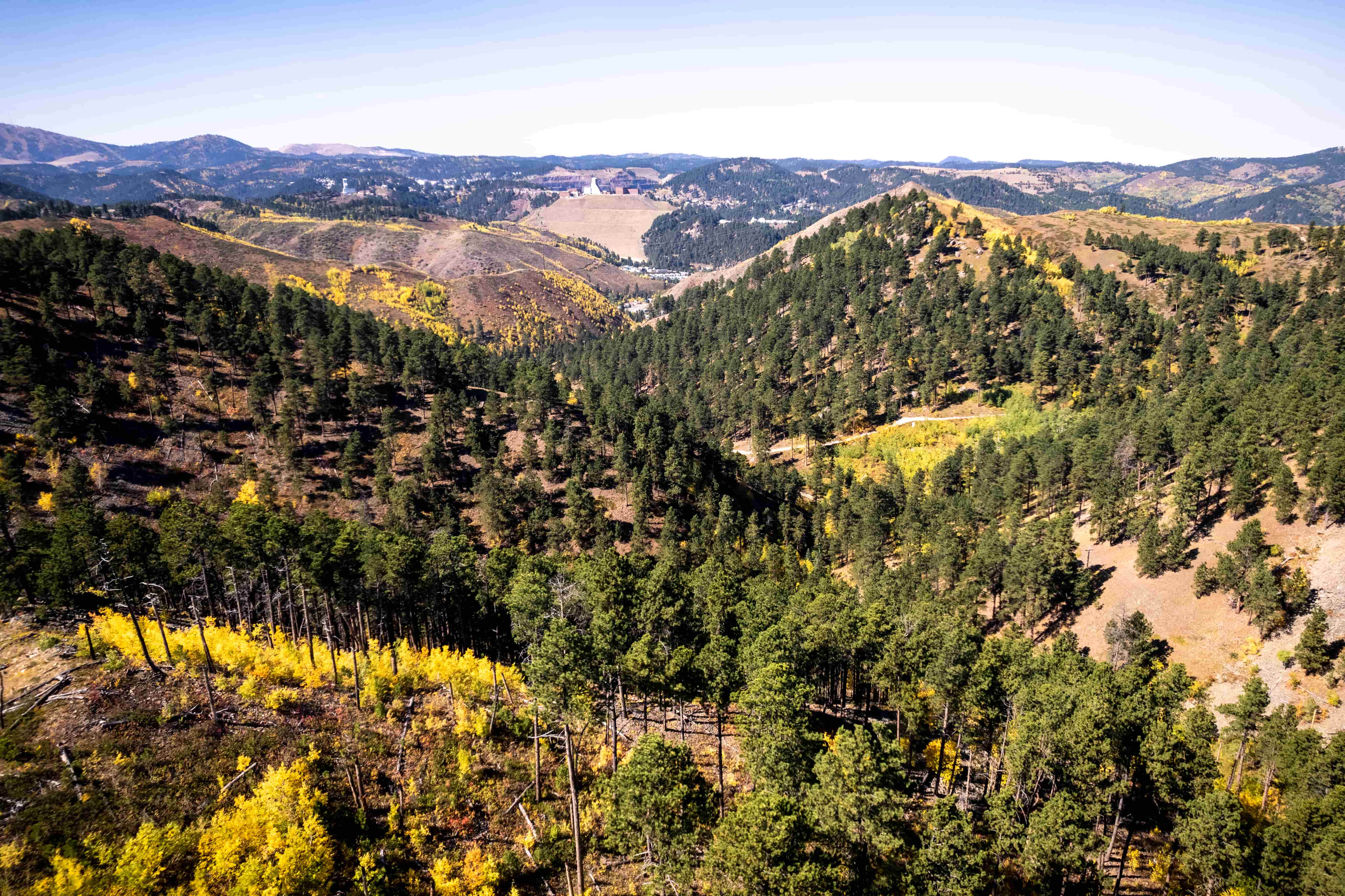 Black Hills National Forest shot by drone