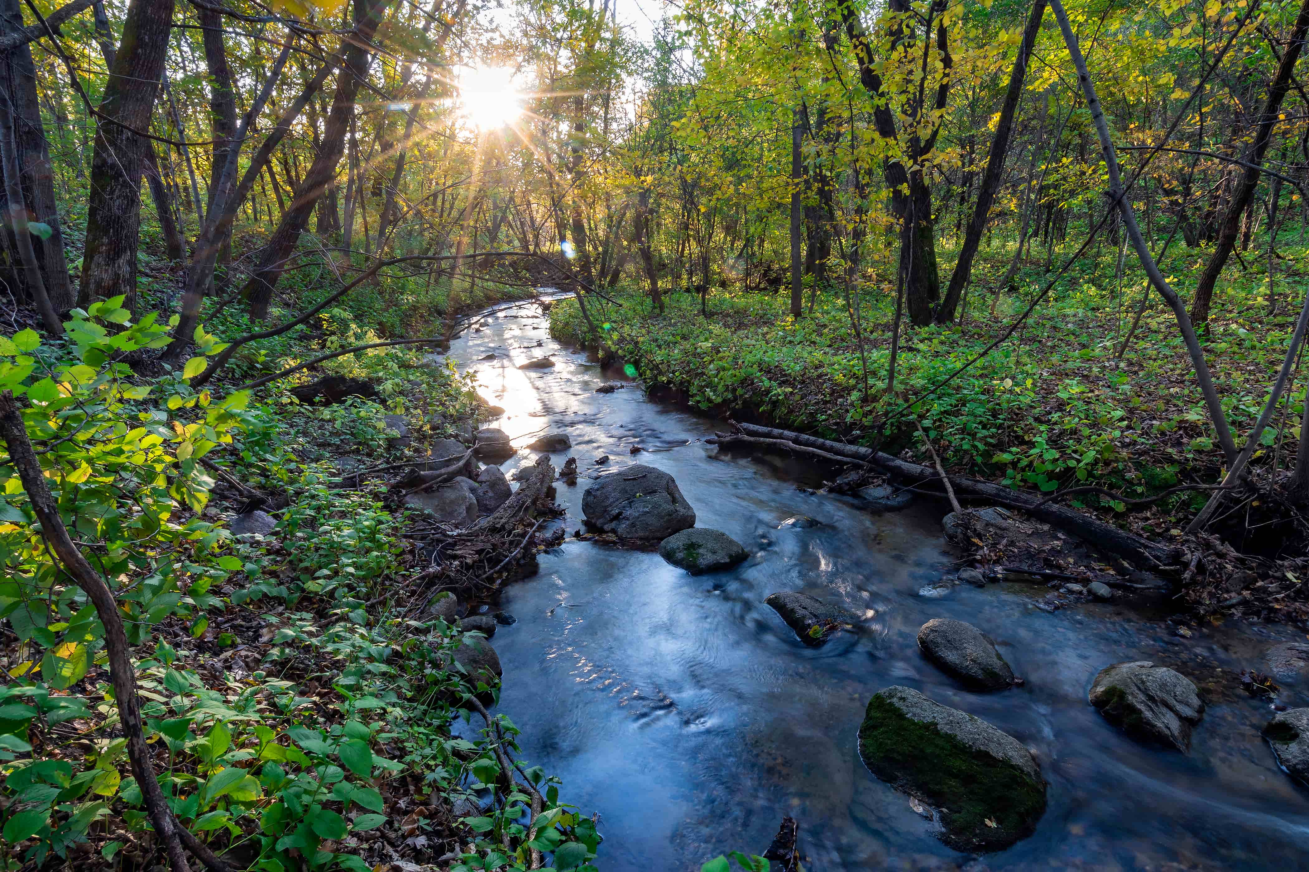 Sica Hollow water