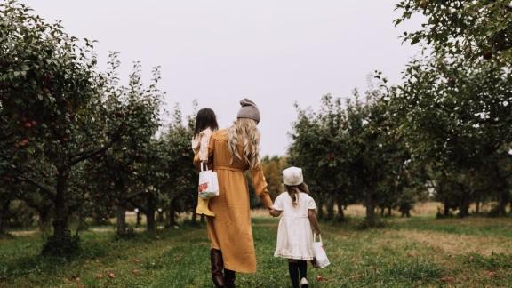 Country Apple Orchard
