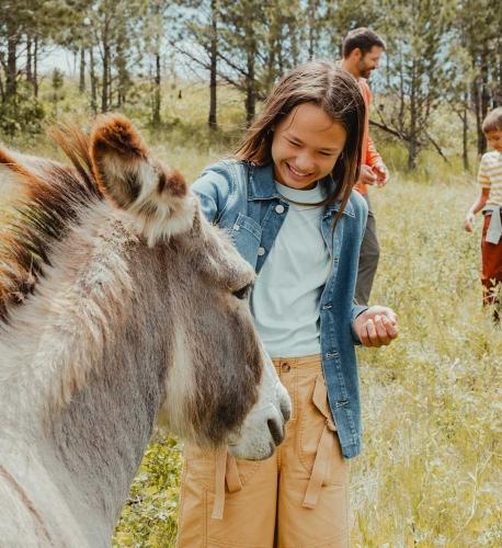 A family interacts with friendly burros at Custer State Park.