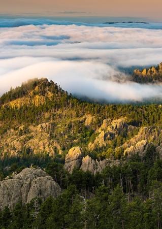 Sunrise Needles Highway