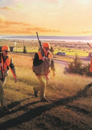 pheasants forever