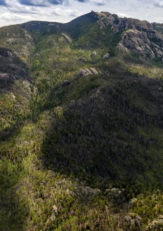 The Black Hills feature multiple campsites throughout the forest.
