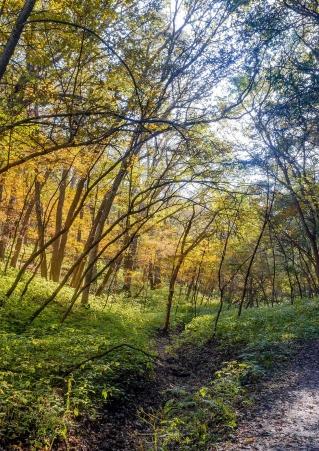 Good Earth State Park