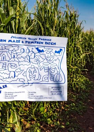 Spearfish Corn Maze Map and Trail