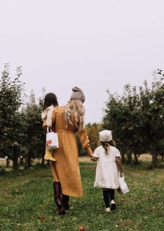 Country Apple Orchard