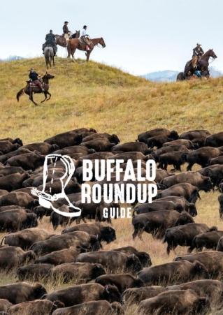 Cowboys and buffalo at Buffalo Roundup