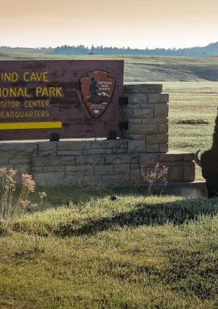 Buffalo at Wind Cave National Park