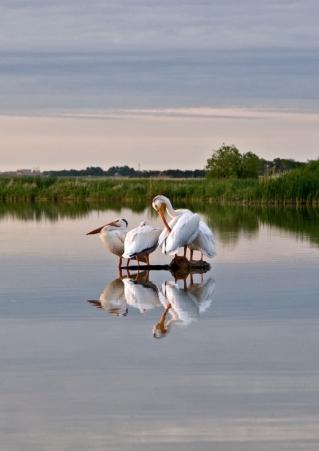 Waubay Wildlife Refuge