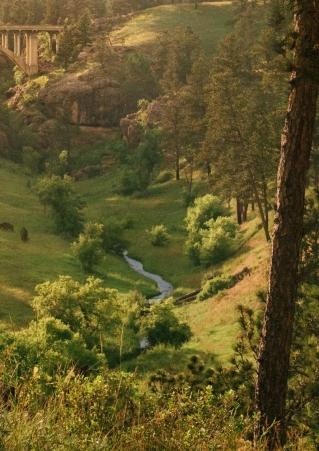 Spearfish canyon overlook