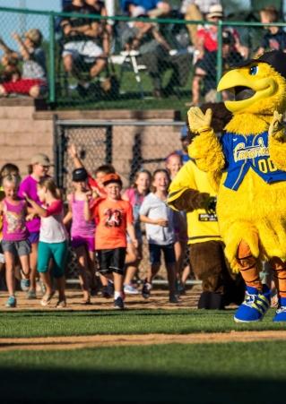 SF Canaries (credit SFC)