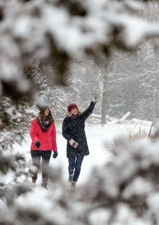 Winter Hiking Teaser