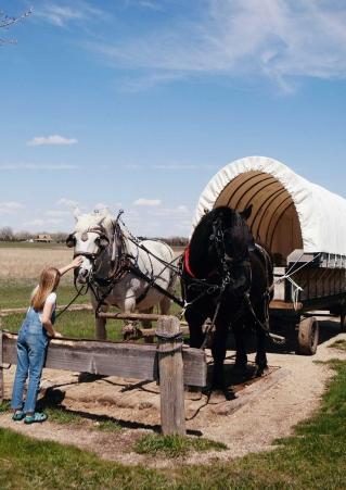 Girl petting horses pulling a covered wagon