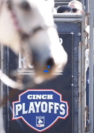 A blurry white horse stands before a sign for Cinch Playoffs