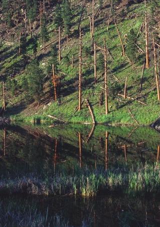 Pactola Lake in South Dakota around sunset