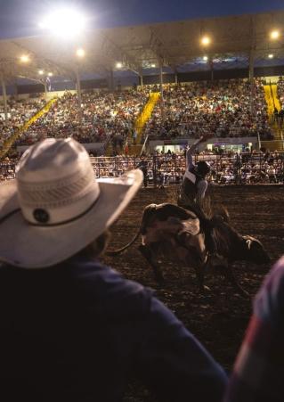 Spectators in packed stands watch a rodeo cowboy perform at the South Dakota State Fair in Huron, South Dakota.