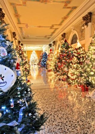 Christmas trees in the halls of the Capitol