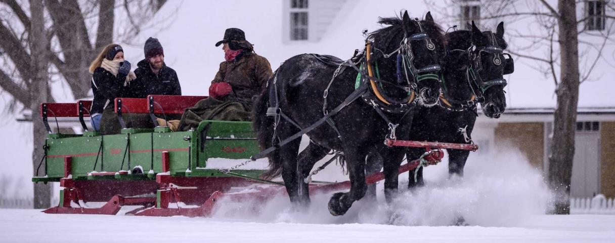 Horse drawn sleigh in snow