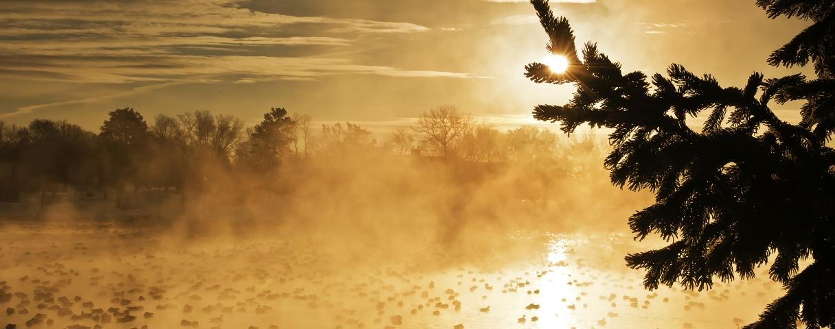 Winter scenery, South Dakota