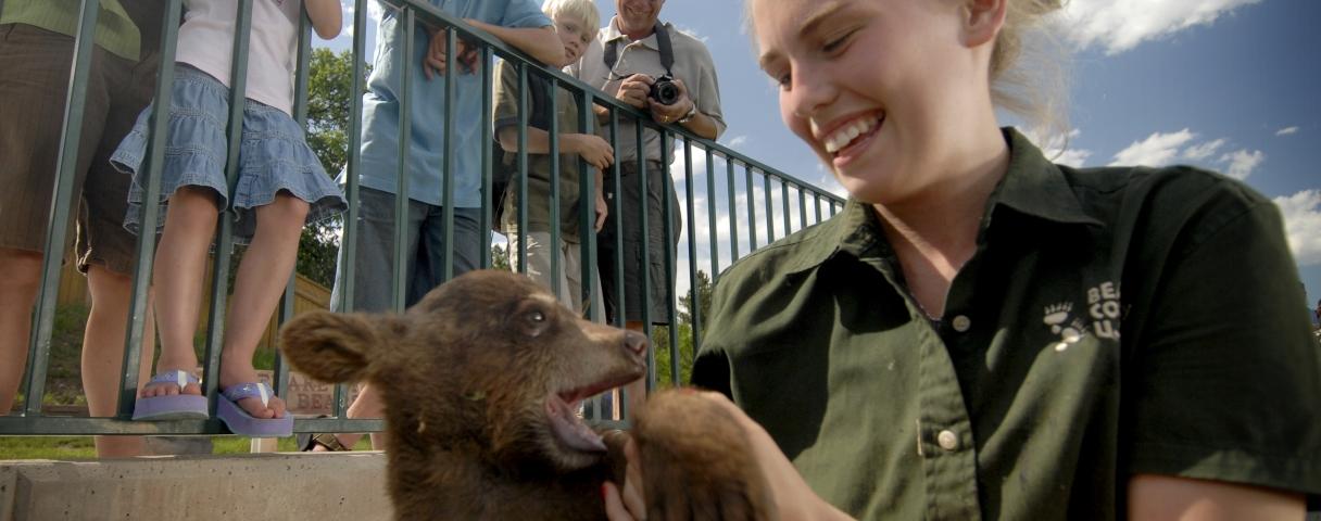 Cub, Bear Country USA