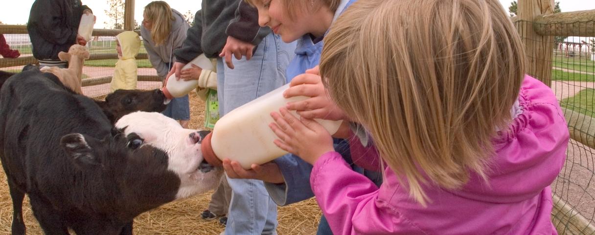 Feeding farm animals