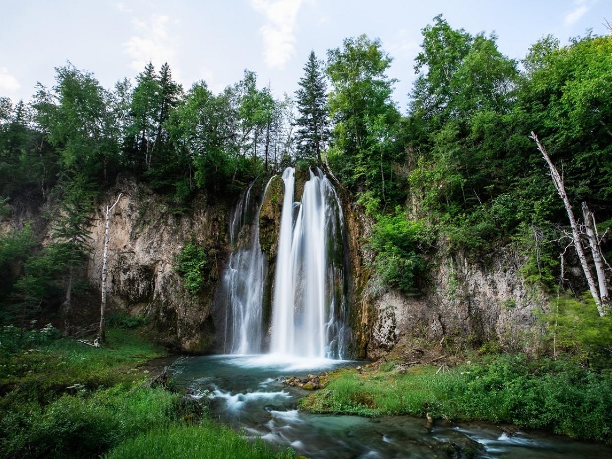Spearfish