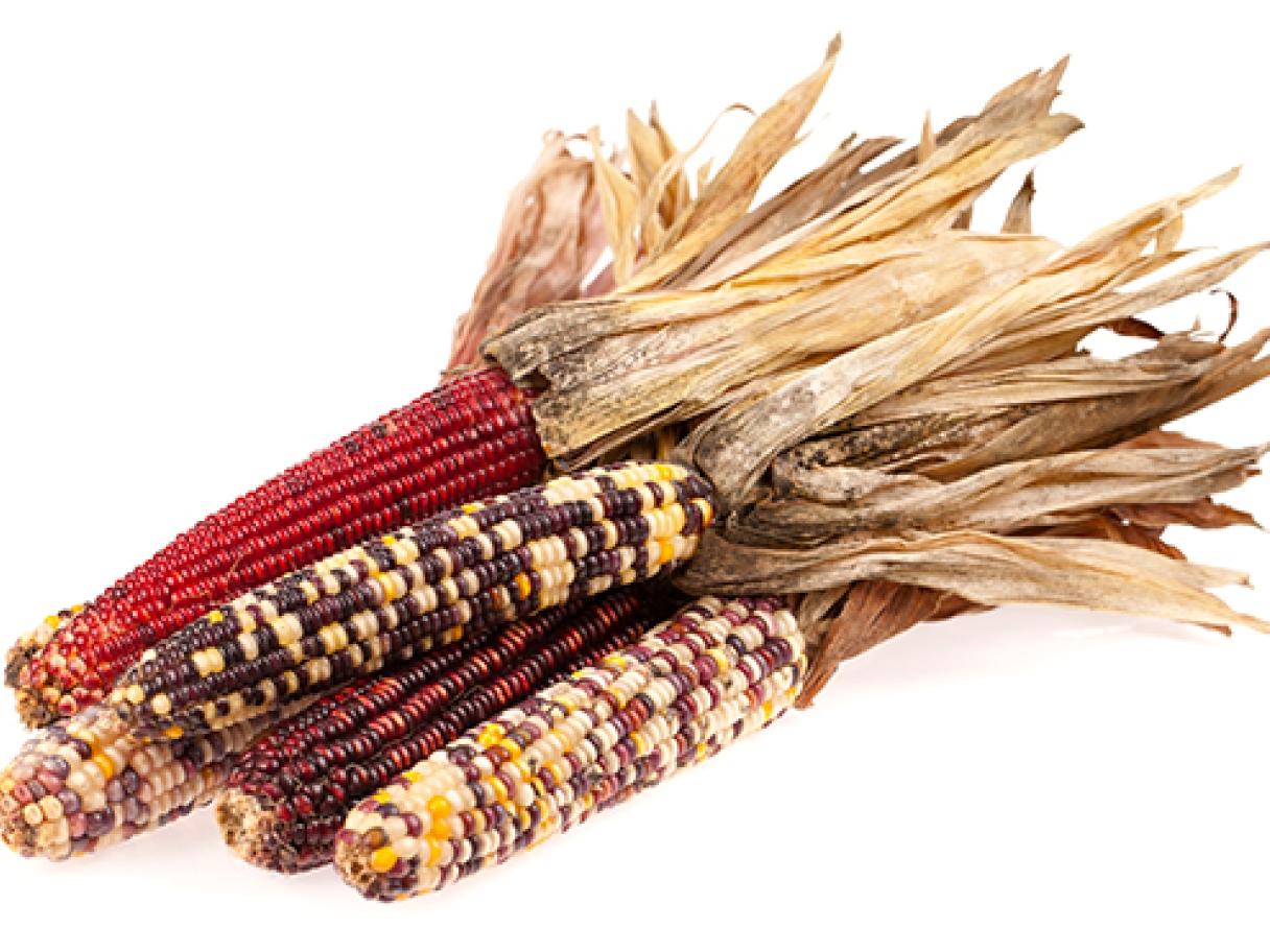 Corn