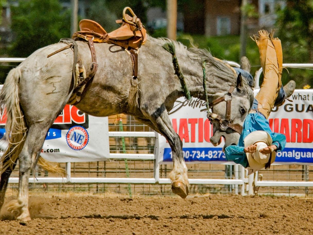 Black Hills Round Up