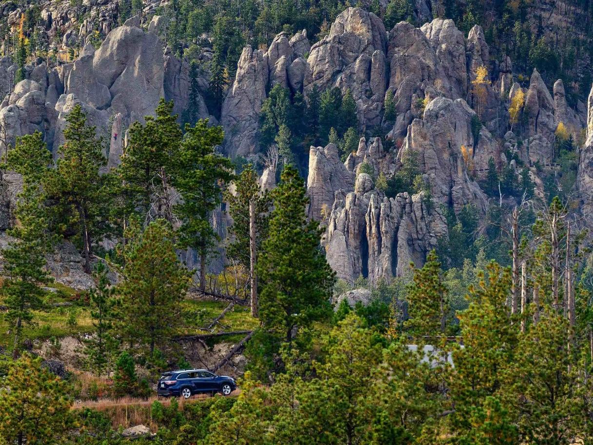 Needles Highway