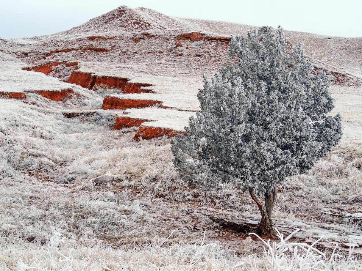Wind Cave National Park in Winter