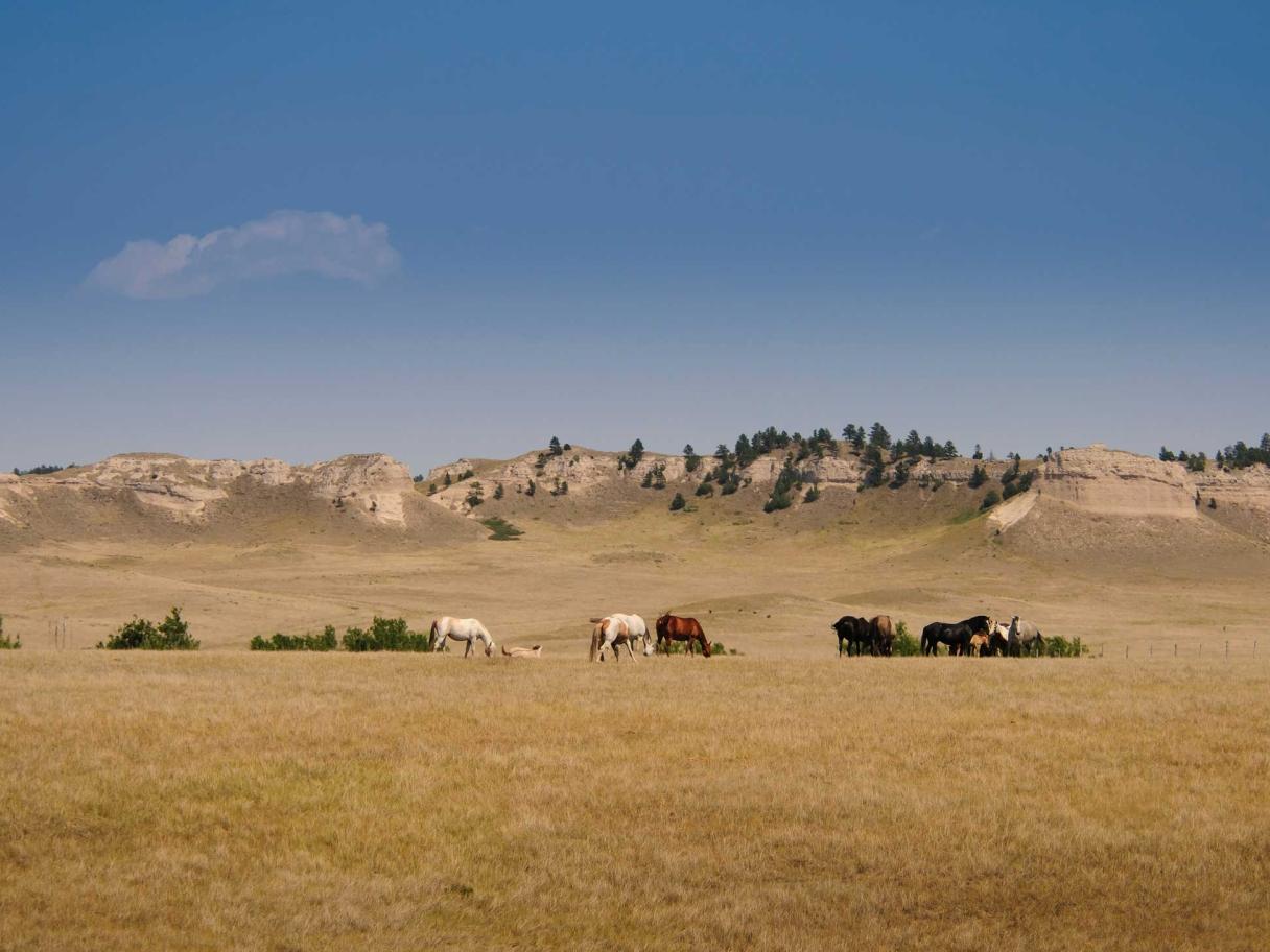 Pine Ridge Reservation