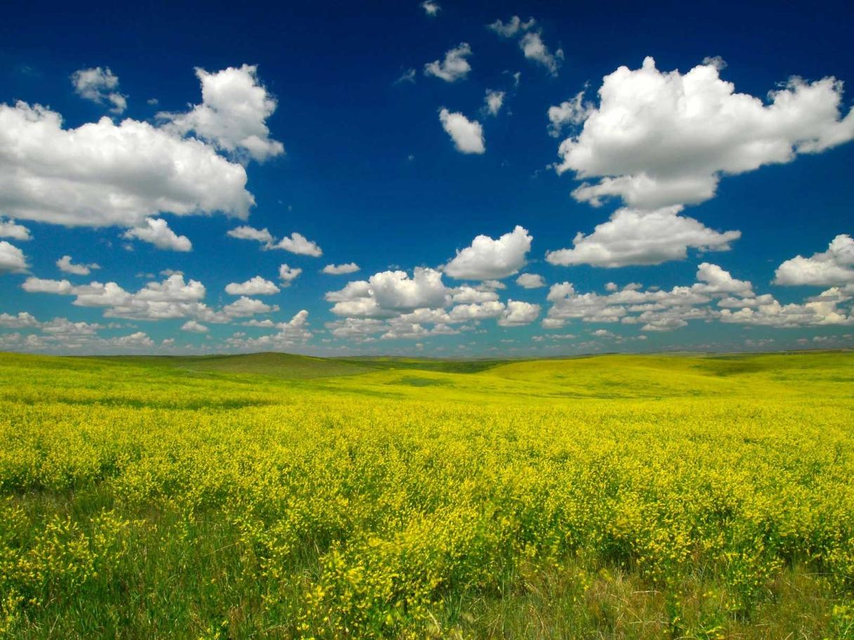 Ft Pierre National Grasslands