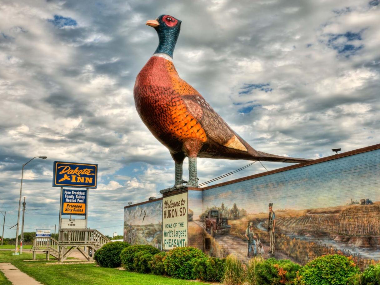 Giant pheasant statue in Huron
