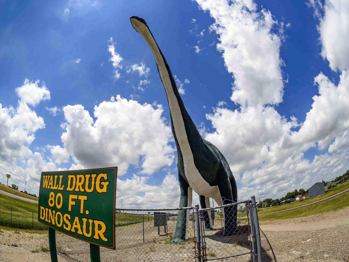 Wall Drug 80 Ft Dinosaur