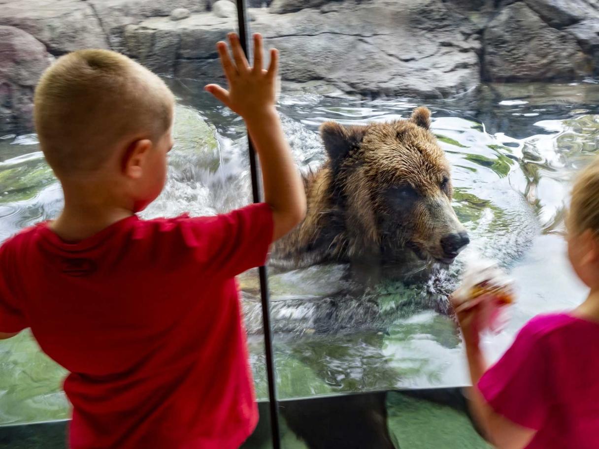 Kids watching a bear at Great Plains Zoo