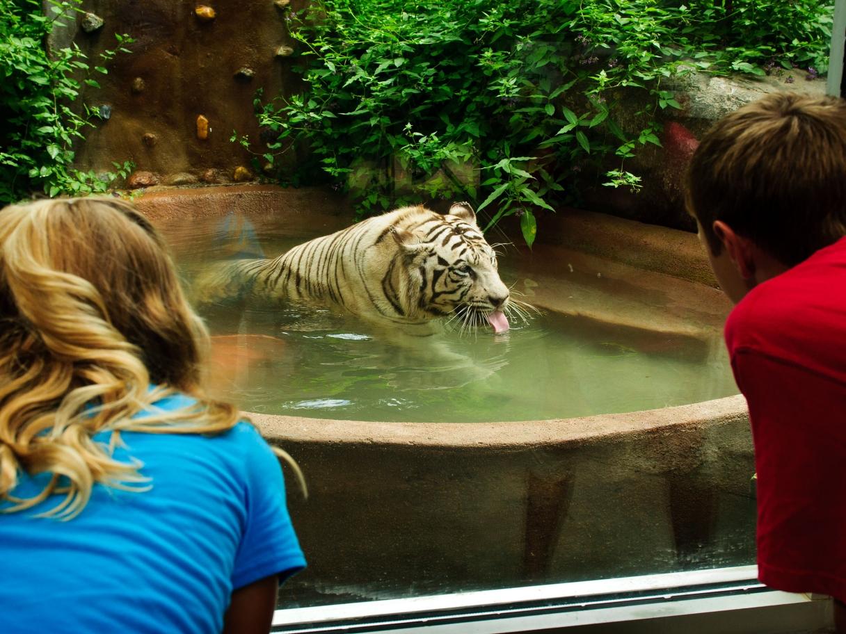 Bramble Park Zoo