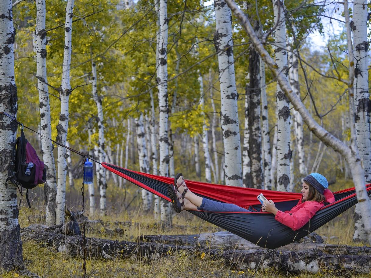 Hammocking