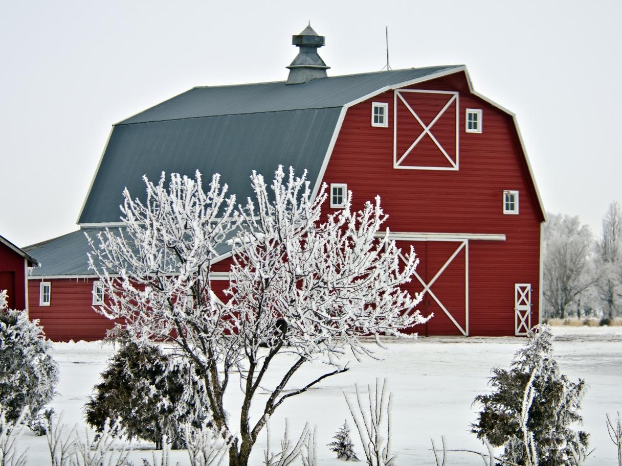 Barn in Winter, Snow