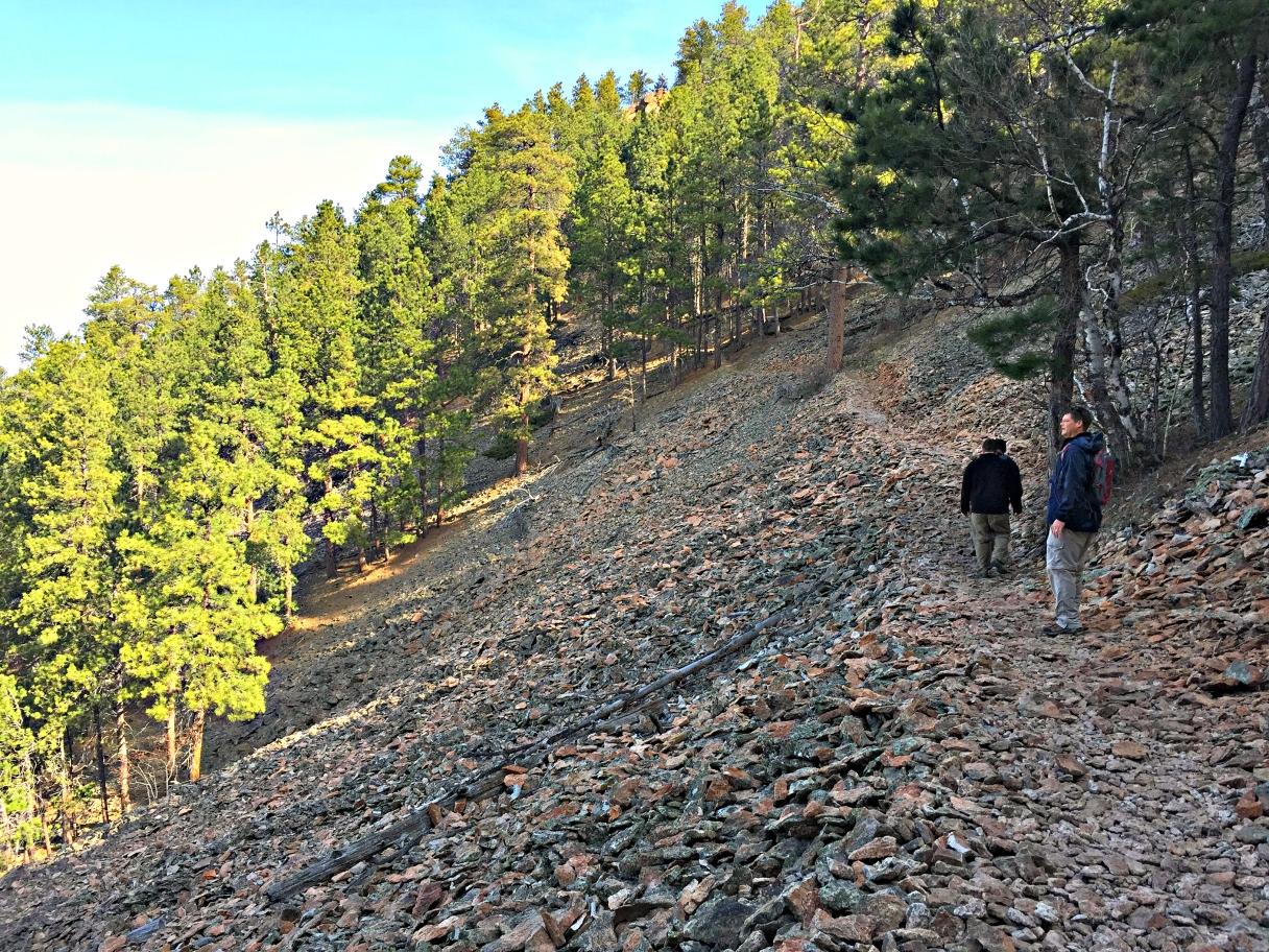 Black Hills National Forest