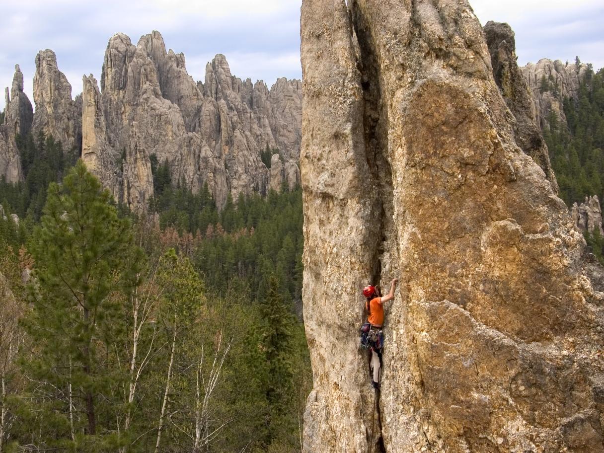 Climbing Needles