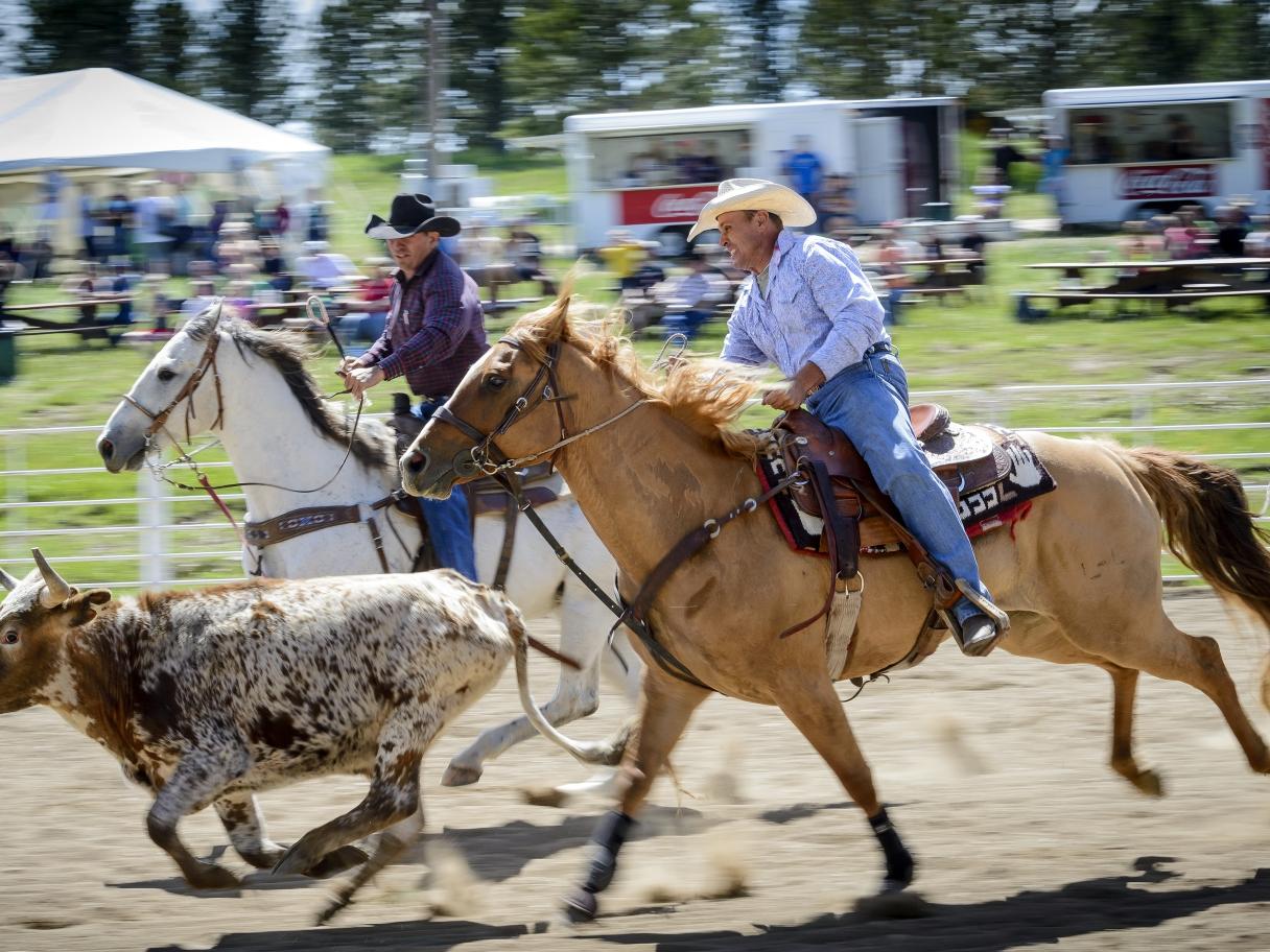 Rodeo