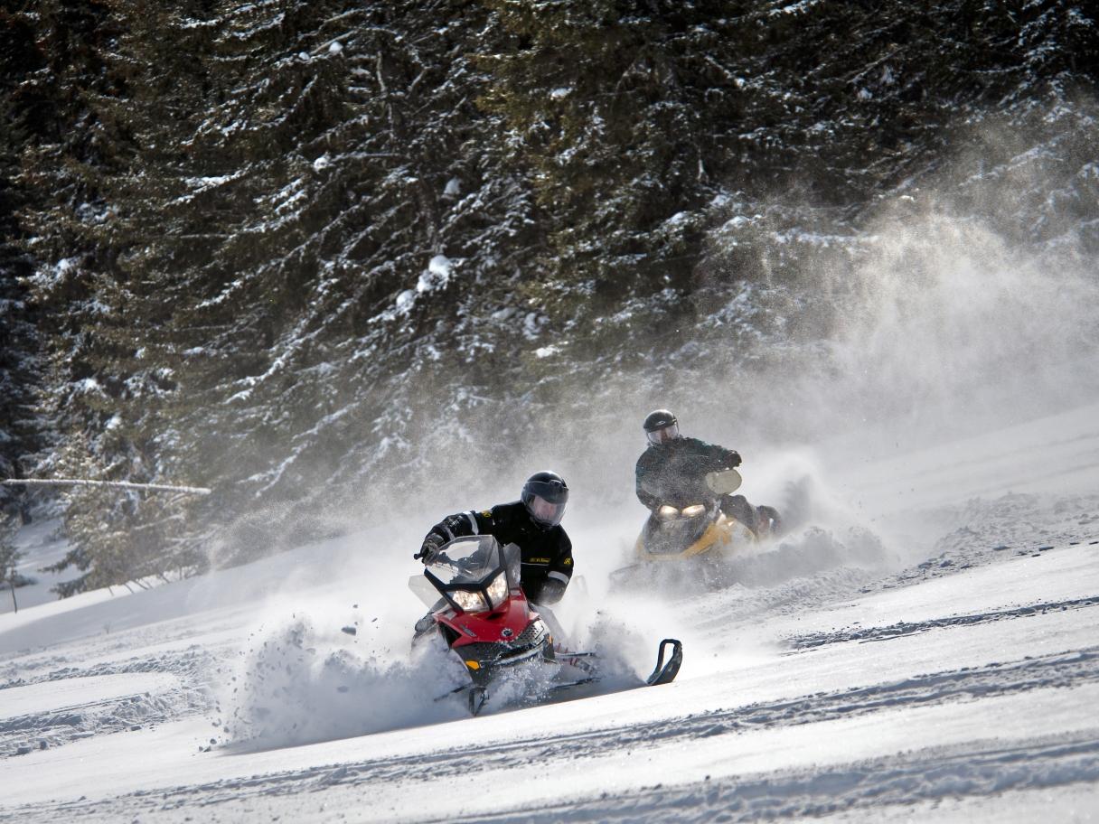 Snowmobiling on fresh powder
